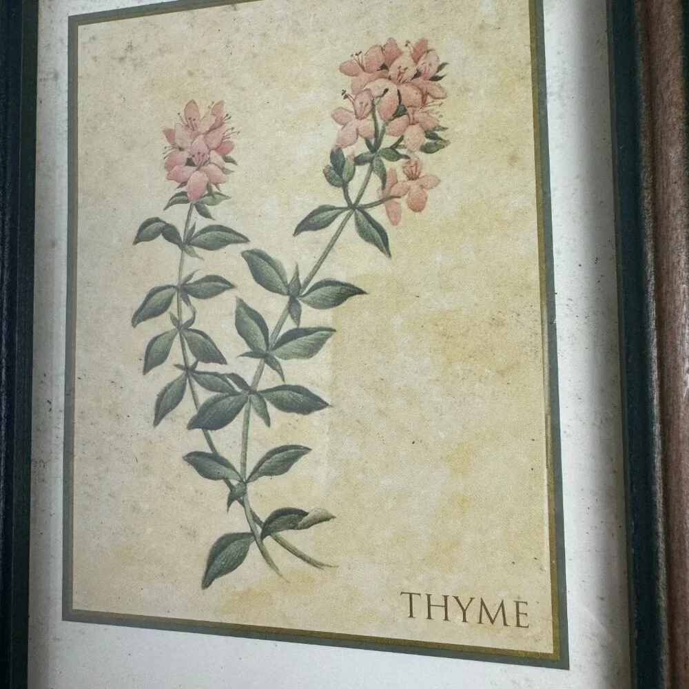 Vintage Country Style Picture Featuring Herbs Wall Decor Set of 2 Botanical ART